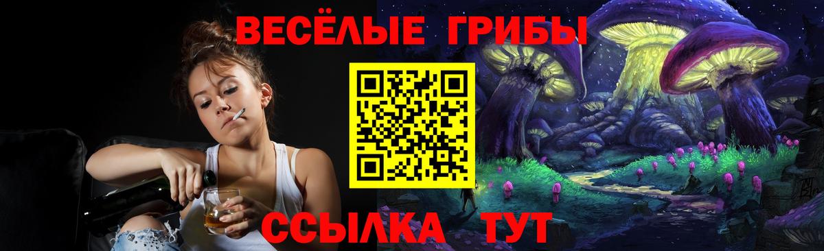 Ярцево  Псилоцибиновые грибы Psilocybine cubensis  Вход с VPN 